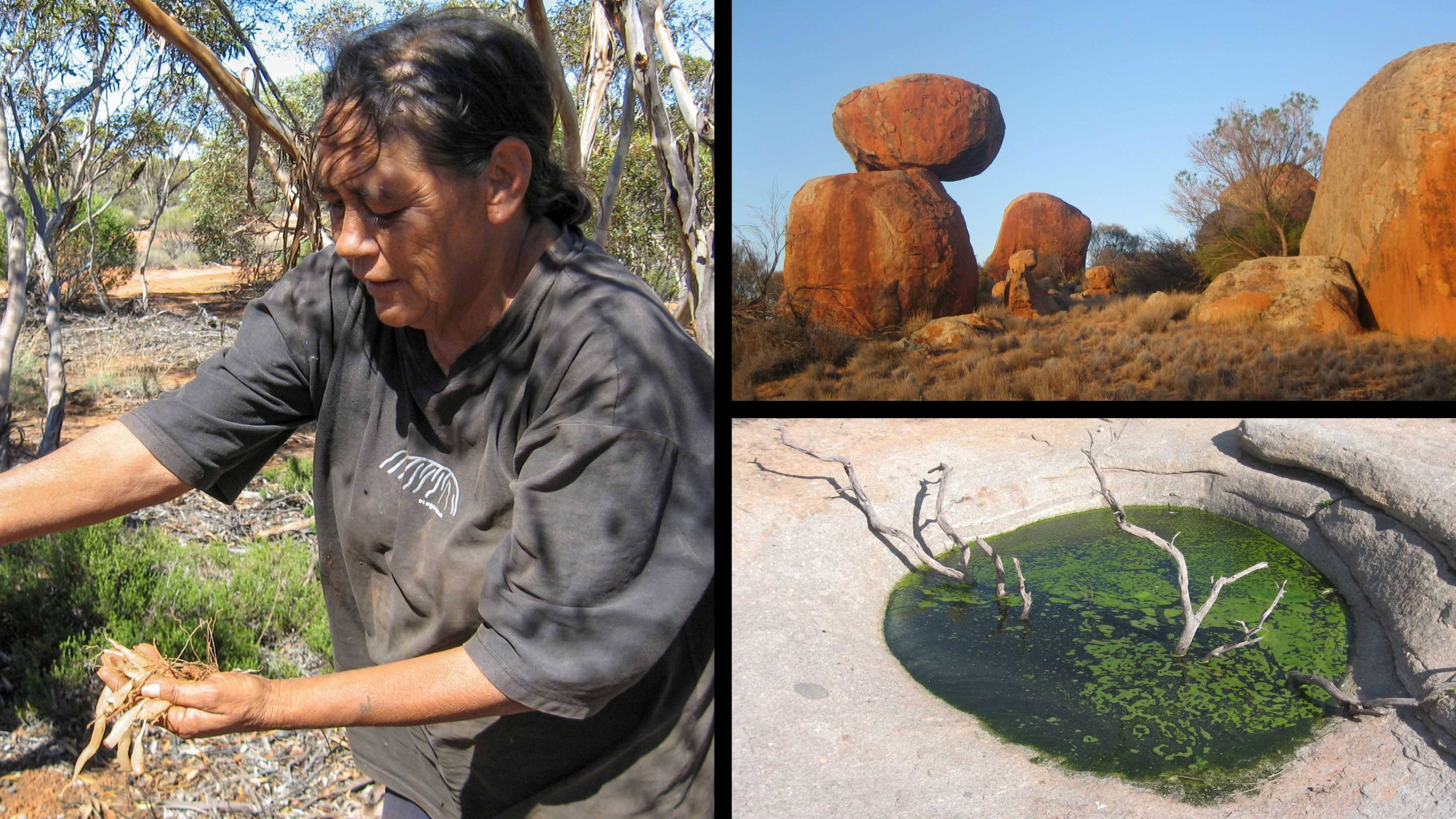 West Mallee Protection Fund