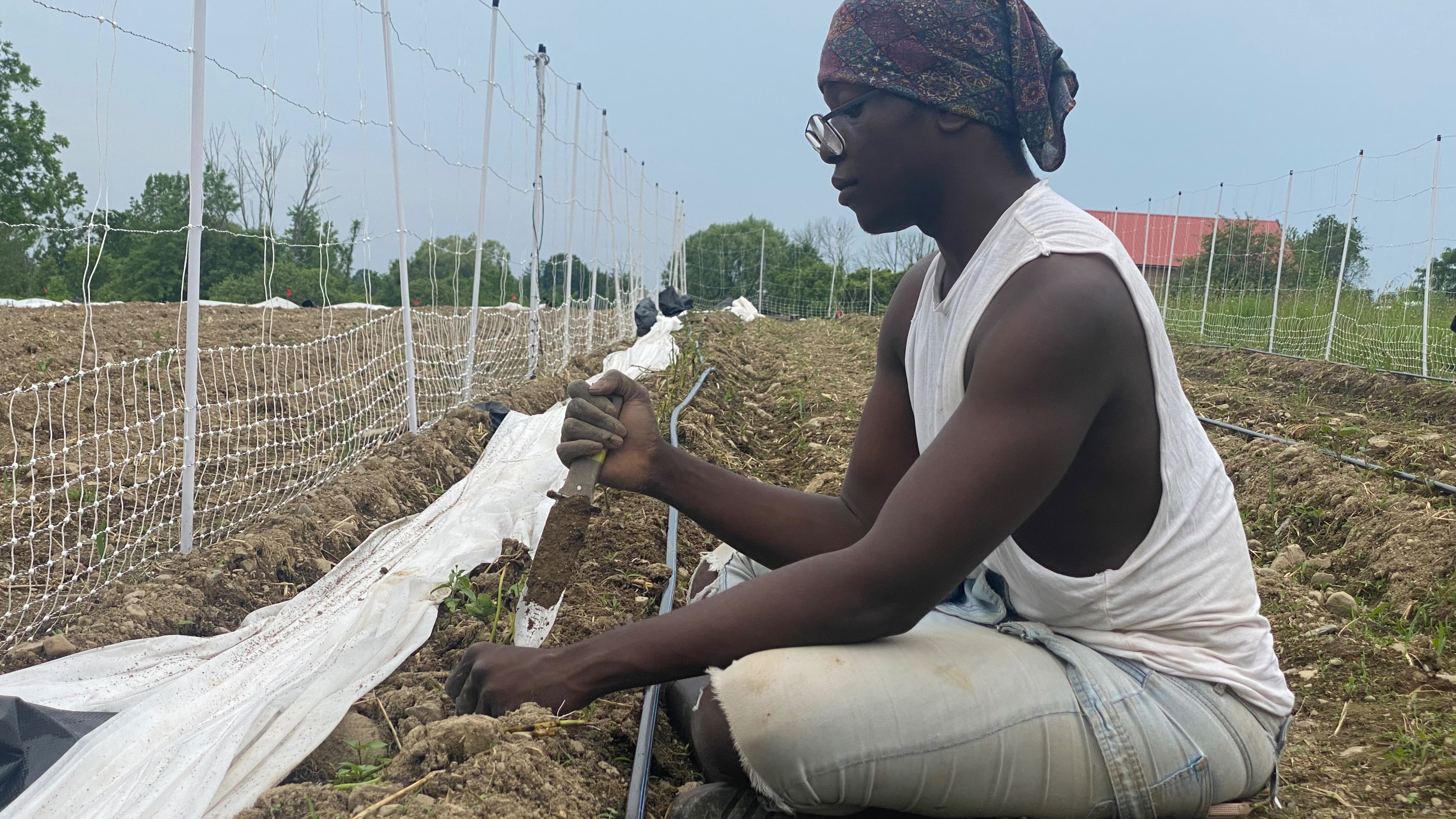 Protect Black Trans Farmers: Justice and Healing for Saighé