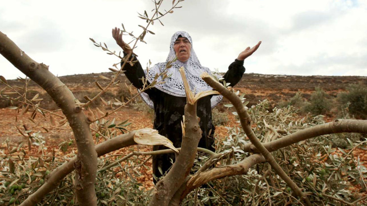 Palestinian / Lebanese Backyard Mashawi Fundraiser 