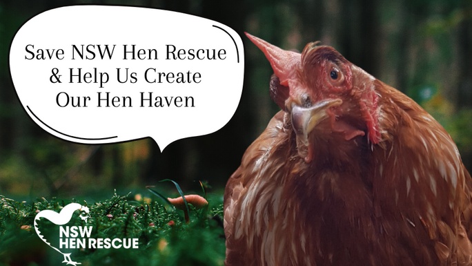 chicken rescue centres near me