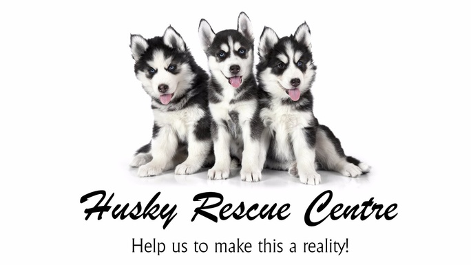 husky rescue centre near me