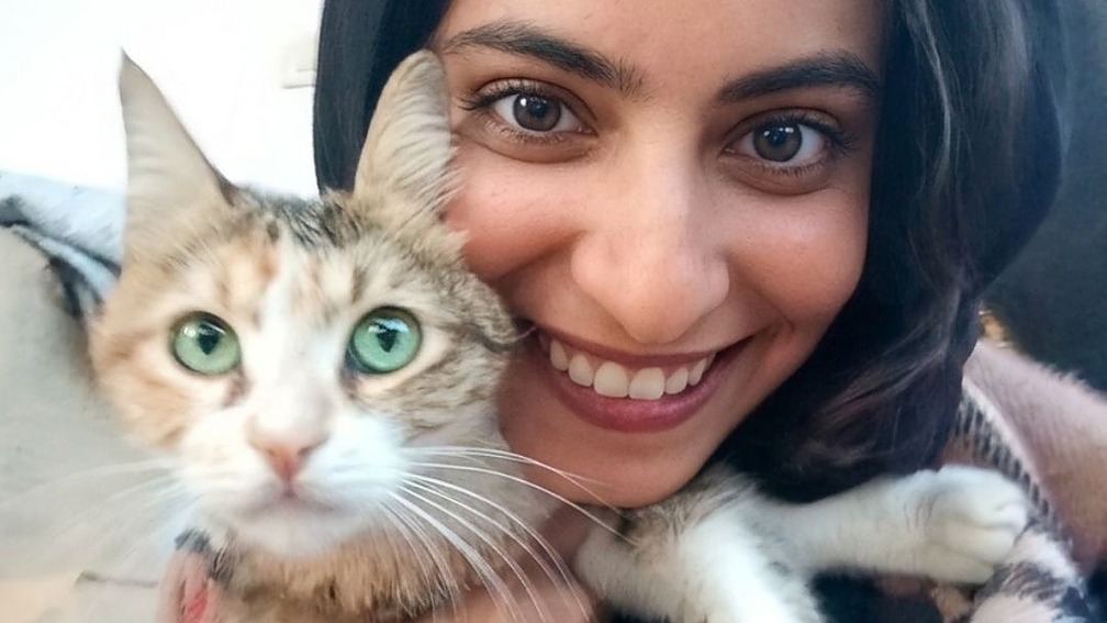 Help Marwa Care For Gaza's Forgotten Cats