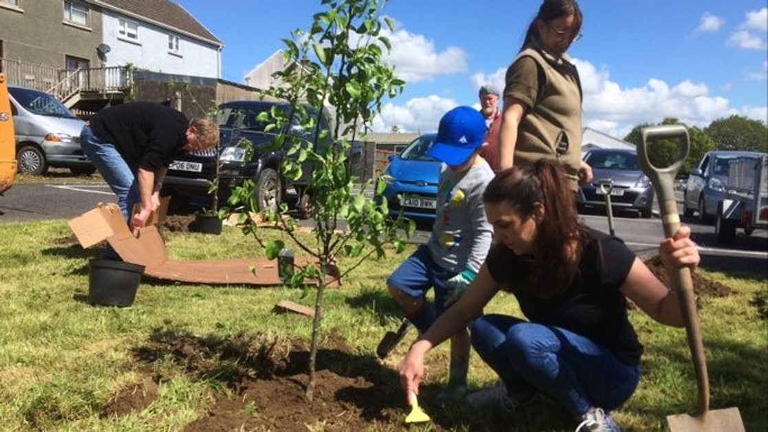 Help us plant trees for biodiversity, for food &amp; for a