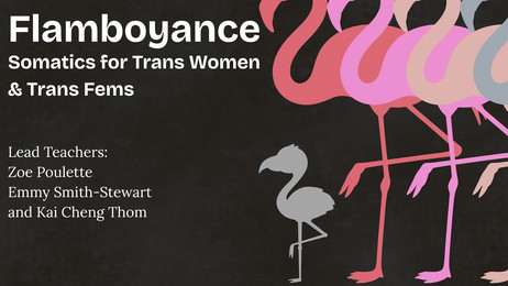 Flamboyance: Somatics Retreat for Trans Women & Trans Fems | Chuffed |  Non-profit charity and social enterprise fundraising