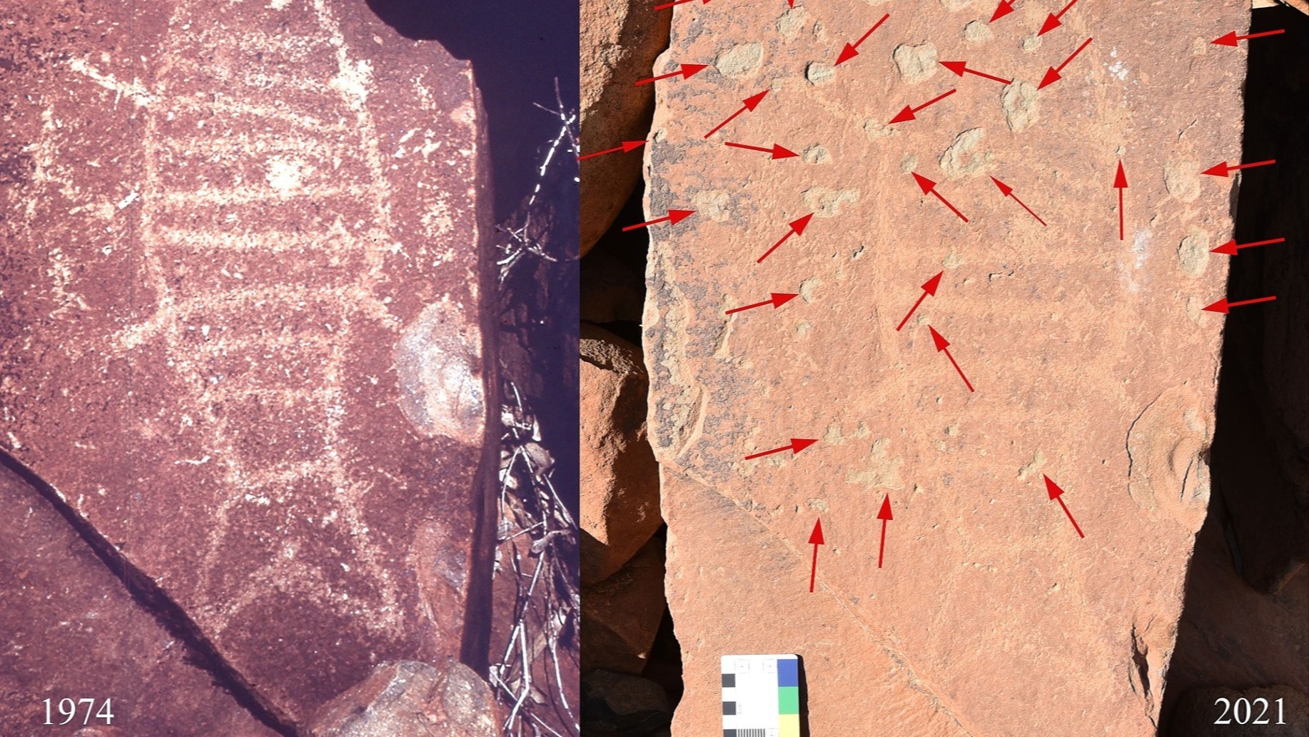 Raelene v The Government: Protect ancient rock art
