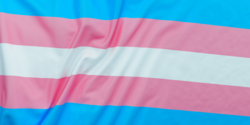 TRANS
RIGHTS